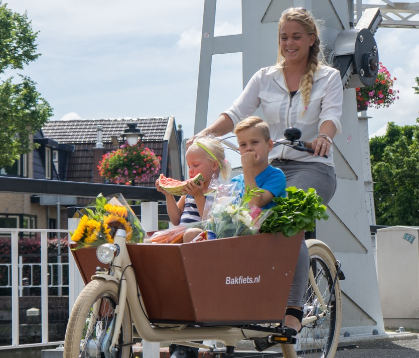 bakfiets-accesoire-tegel.webp