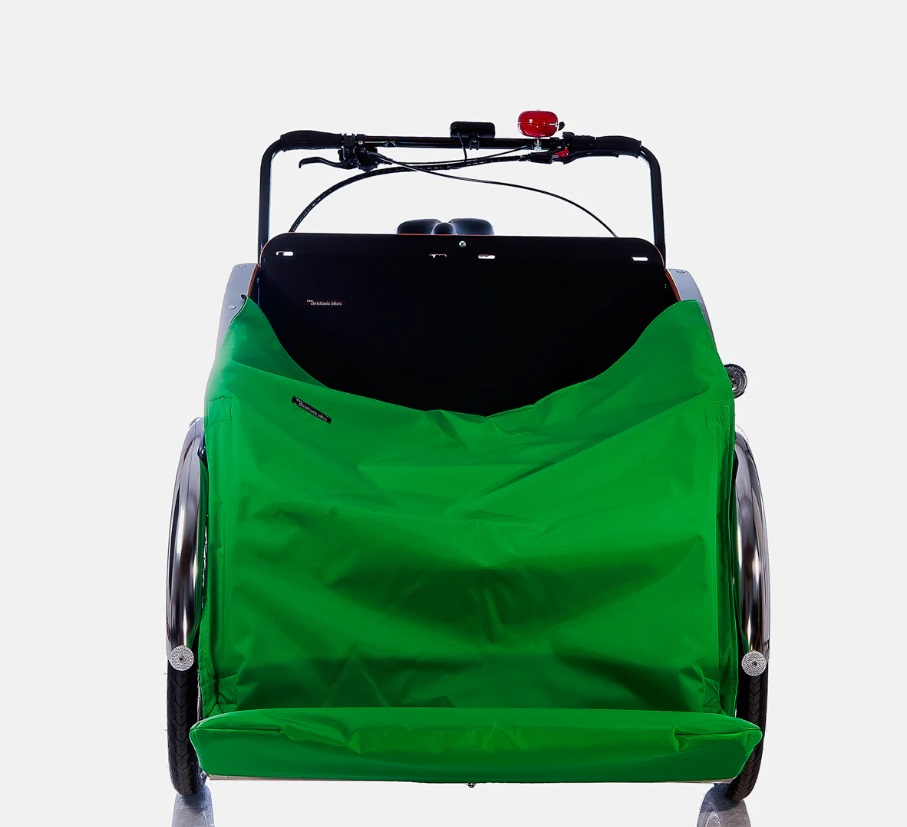 chr-31