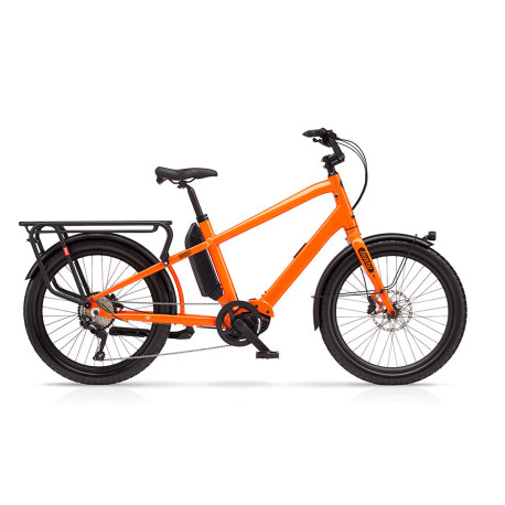 Cadenza 50s StradPro EX カデンツァ♪ neon1.jpg