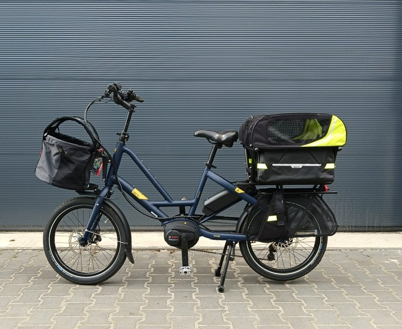 qhdog4.jpg