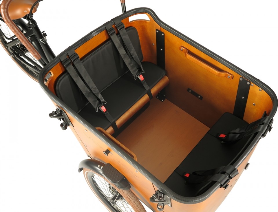qv-101.jpg