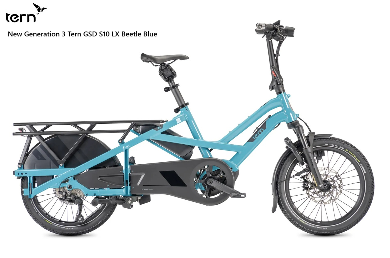 s10beetleblue.webp